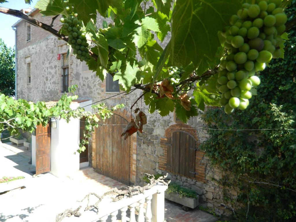 Hotel Turo De La Torre Manresa Zewnętrze zdjęcie